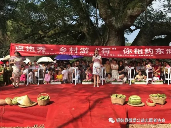 千萬(wàn)記?。簴|滸不僅僅只有荷花、古樟、古祠堂、古塔......還有.....