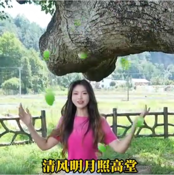 活動(dòng)視頻