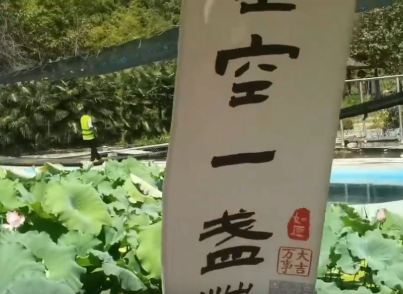 活動(dòng)視頻